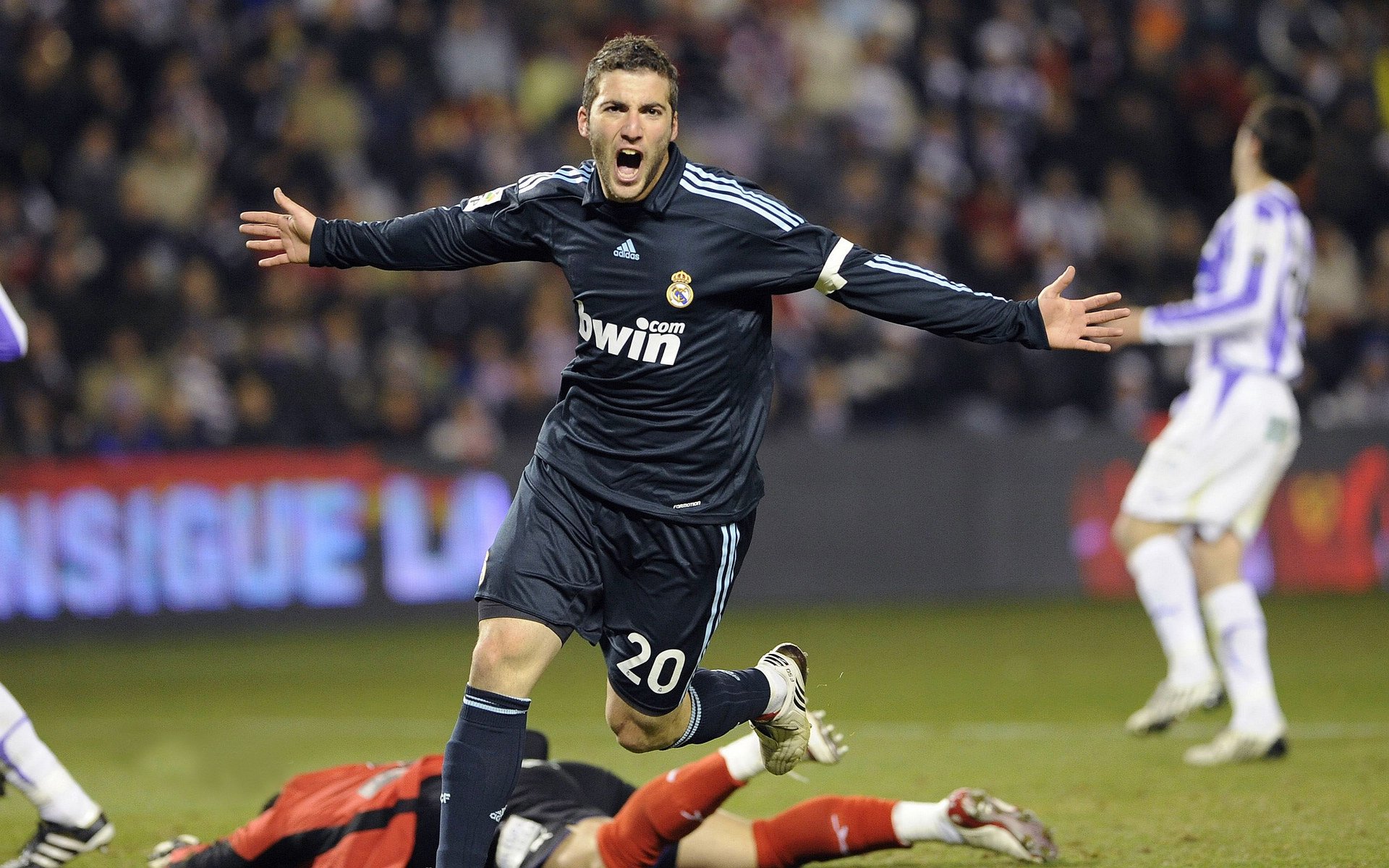 拉尼·帕利斯特决赛表现超出预期，帕拉尼恩斯vs奎托