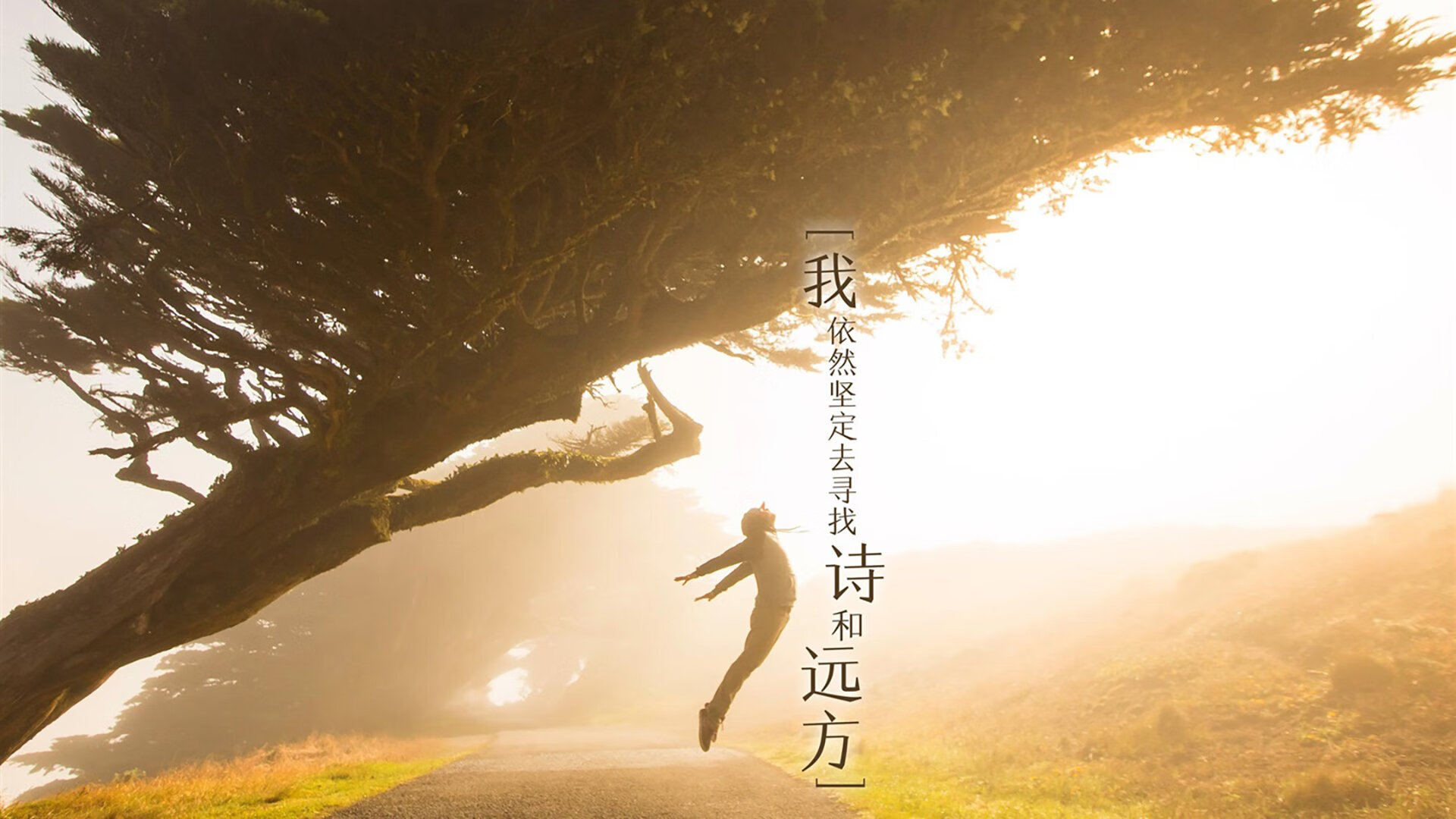 “法甲豪门迎来关键战,胜者稳步向前”,法甲豪门球队排名前十