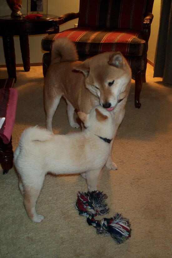 爱游戏娱乐-《Hope：年轻的力量，闪耀在国际舞台》